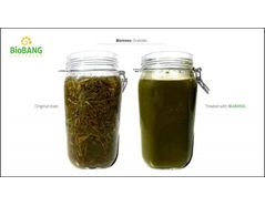 Pic 2. Separation degree: Left, raw grass and slurry; Right, grass and slurry after BioBANG’s cavitation