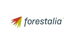 Forestalia closes an agreement with Mirova, GE and Engie to build the first subsidy free 300MW wind farm in Spain