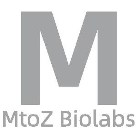 MtoZ Biolabs - Collagen Analysis Service