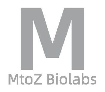 MtoZ Biolabs - Collagen Analysis Service