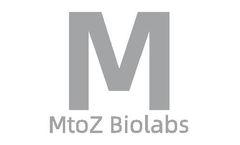 MtoZ Biolabs - Target Protein Pull-Down MS Identification Service