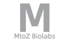 MtoZ Biolabs - SDS-PAGE Based Protein Molecular Weights Analysis Service