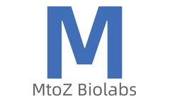 MtoZ Biolabs - CUT&Tag Analysis Service