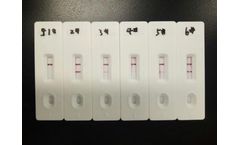 Bioeasy - Model YR1A1001 - Brucella Antibody Rapid Test Cassette (BCL Ab) Result in 10minutes