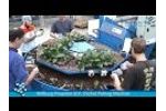 Willburg Orchid Pottingmachine - Video