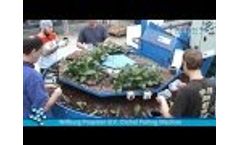 Willburg Orchid Pottingmachine - Video