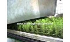 Young Plants Vacuum Video