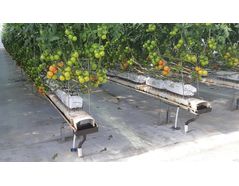 Our Spacer: A Versatile Solution for Hydroponic Crops