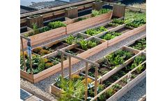 Greenyard - Green Roofs