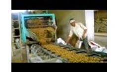 Trough Belt conveyors for Cattle Feed Handling Delhi NCR India | Trough Belt conveyor manufacturer - Video