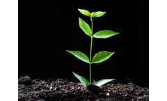 Activated Carbon for Biochar – Natural Soil Improvement