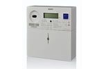 Holley Technology - Model DDS28-IC3 - Residential Meter
