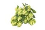 Hydronix Sensors for Hops - Agriculture