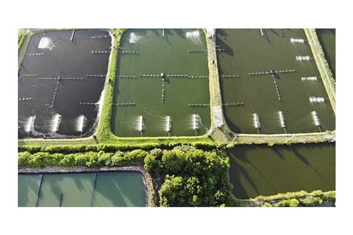 S2N - S2N - Water Quality Monitoring - Smart Water Monitoring ...