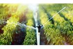 Automated microbiological monitoring solutions for irrigation industry - Agriculture - Irrigation