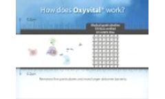 How Oxyvital Systems Clean the Air Video