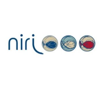 Integrated Niri Production Concept