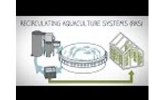 What is land-based fish farming? Video