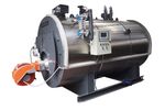 Model WNS Series - Horizontal Fuel Steam Boilers