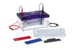 omniPAGE - Mini Wide Vertical Protein Electrophoresis System