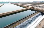 Sustainable microbial products for wastewater treatment - Water and Wastewater - Water Treatment