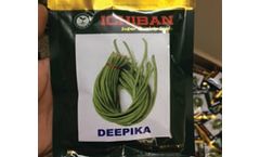 Model Deepika - Yard long Beans