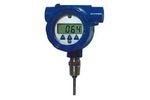 Model 8080KCA-AD-2.5 - Battery Operated Digital Temperature Indicator RTD Assembly