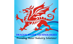 Dragon - Experienced Professionals Services