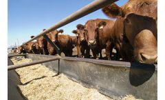 Advanced FT-NIR Analysis for Feed & Forage Sector