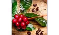 FT-NIR analysis for coffee sector