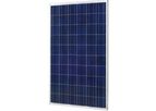 Atenco - Model AT60 PV 270-280 Wp - Polycrystalline Solar Panel