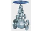 Absolute - Hydrocarbon Contaminated Asset Valves
