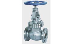 Absolute - Hydrocarbon Contaminated Asset Valves