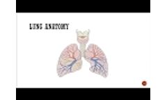 Identifying Respiratory Disease in Pathology by Allison Eck HTL(ASCP)CM, QLS, AHI(AMT) Video