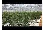 9mile Agro Farm Project Video