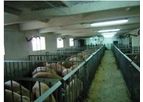 AgriGate - Swine Farm
