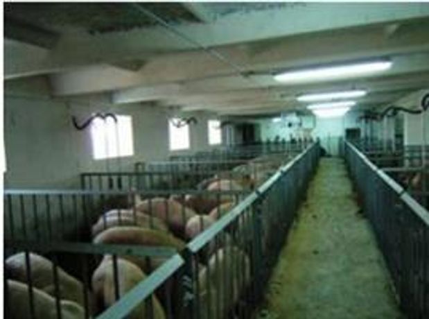 AgriGate - Swine Farm