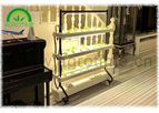 Home Hydroponic System with Light