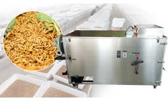 New Designed Yellow Mealworm Sorting Machine - 10th Mealworm Beetle Separator Manufacturer& Supplier - Video