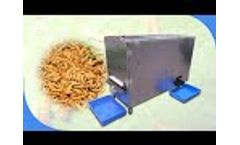 Mealworm & Tenebrio Molitor Separator/Sorting Machine | Commercial Mealworm Insects Sifter Machine  - Video