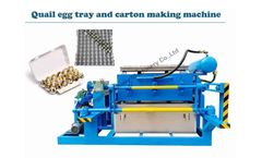 3000pcs/H Paper Pulp Egg Tray Machine