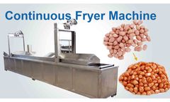 Taizy - Continuous deep fryer | automatic batch fryer for snacks
