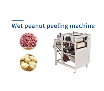 Taizy - Model TZ - Wet Peanut Skin Peeling Machine | Almond Peeler Machine