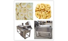 taizy - Model TZ - Banana Chips Fryer Machine | Plantain Chips Frying Machine