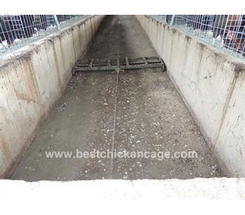 Hebei - Manure Removal System