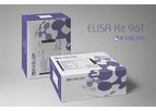 DLdevelop - Mouse Mucin 5 Subtype AC (MUC5AC) ELISA Kit
