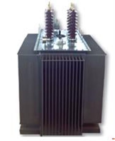 Auto Transformers - Model up to 600 A, up to 22 KV and more than 5 taping po - Egytrafo Group - Auto Transformers