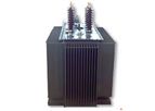 Auto Transformers - Model up to 600 A, up to 22 KV and more than 5 taping po - Egytrafo Group - Auto Transformers