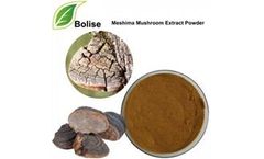 Bolise - Meshima Mushroom Extract Powder
