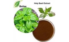Bolise - Holy Basil Extract